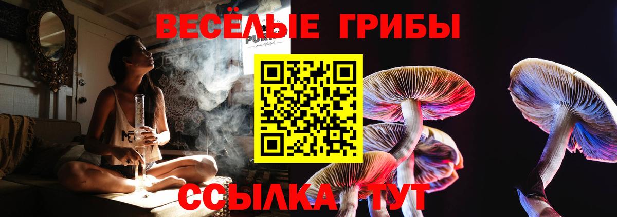 Долгопрудный  Псилоцибиновые грибы Magic Shrooms  Вход с VPN  Галлюциногенные грибы Psilocybine cubensis 